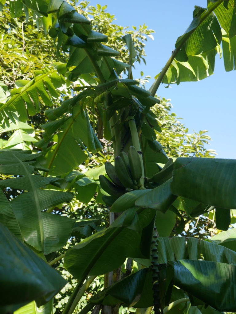 P1020741