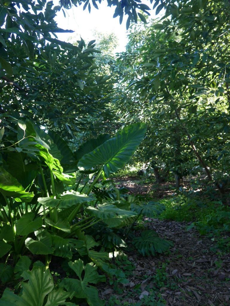 P1020773