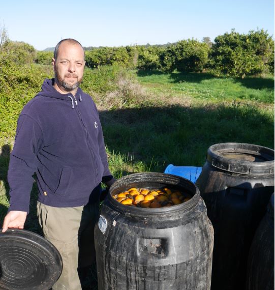 compost