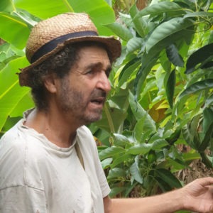 aurelio cadree