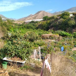 potager web
